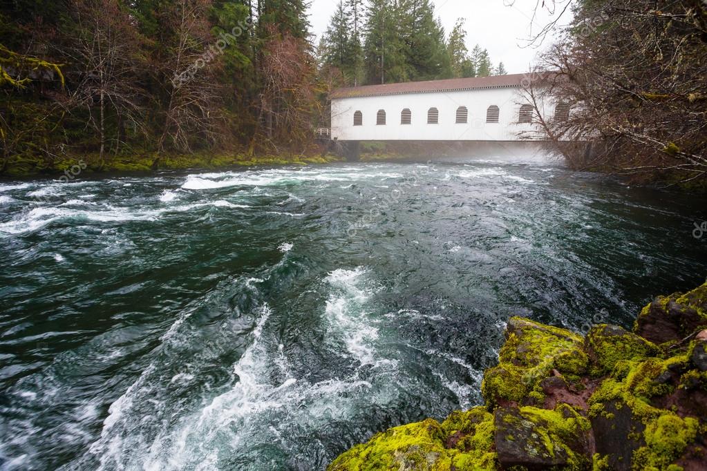 Historic Belknap Bridge McKenzie River Stock Photo by ©joshuarainey