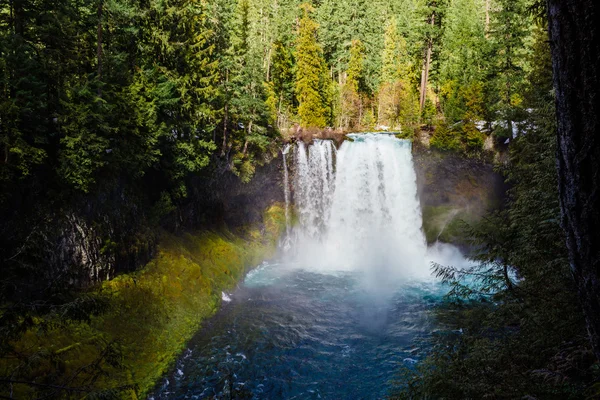 Koosah Falls no rio McKenzie em Oregon — Fotografia de Stock