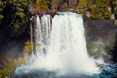 Koosah Falls Oregon Mckenzie Nehri üzerinde