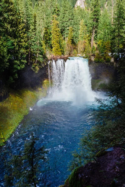 Koosah Falls Oregon Mckenzie Nehri üzerinde — Stok fotoğraf