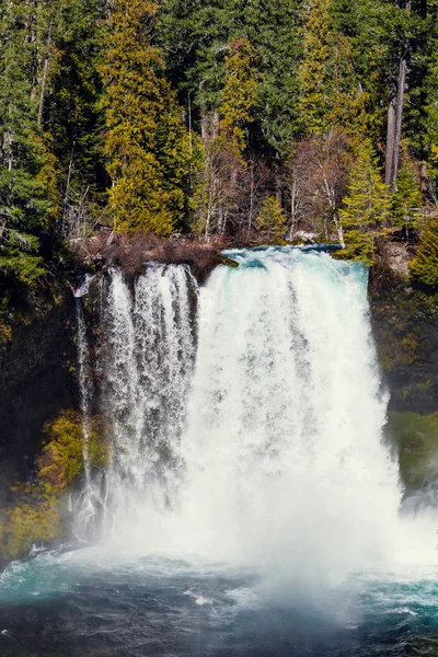 Koosah Falls sul fiume McKenzie in Oregon — Foto Stock