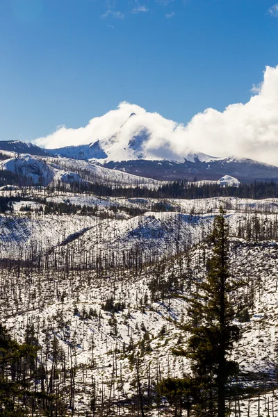 Заснеженная гора Вашингтон — стоковое фото