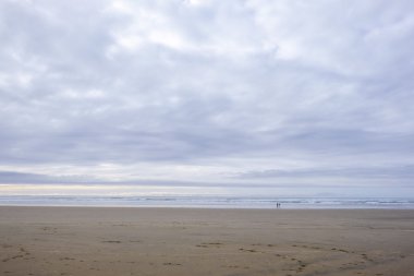 Oregon plaj ve kıyı şeridi