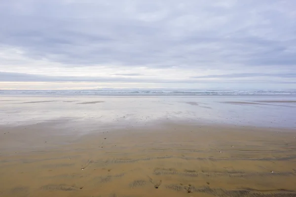 Oregon Beach y Coastline — Foto de Stock