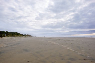 Oregon plaj ve kıyı şeridi