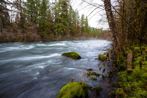 McKenzie folyó Oregon — Stock Fotó