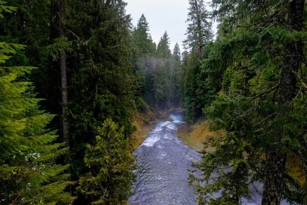 McKenzie folyó Oregon — Stock Fotó