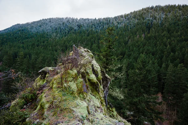 Oregon Rock Outcropping en el bosque — Foto de Stock