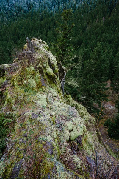 Oregon Rock afloramento na floresta — Fotografia de Stock