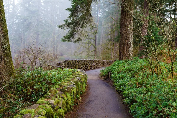 Srebrny falls state park — Zdjęcie stockowe