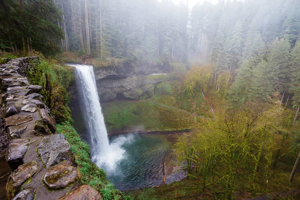 Silver Falls State Park — Stockfoto