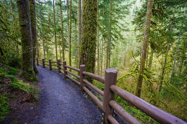 Parc national de Silver Falls — Photo