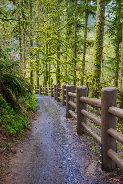 Parc national de Silver Falls — Photo