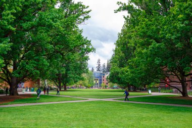 University of Oregon Campus in Spring clipart