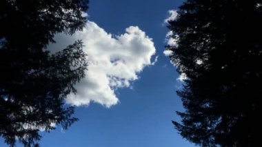 Oregon bulutlu gün batımı Timelapse