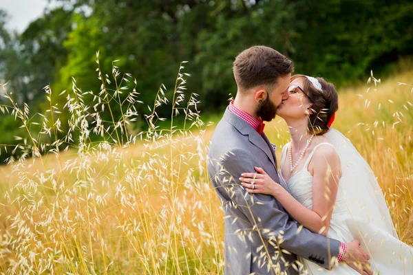Boda pareja besándose en campo — Foto de Stock
