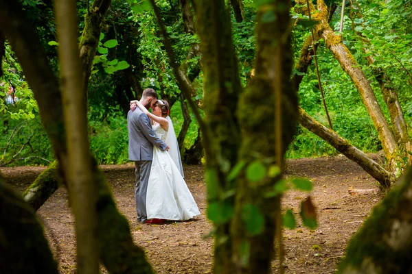 Brud og Groom i Orchard Portrait - Stock-foto