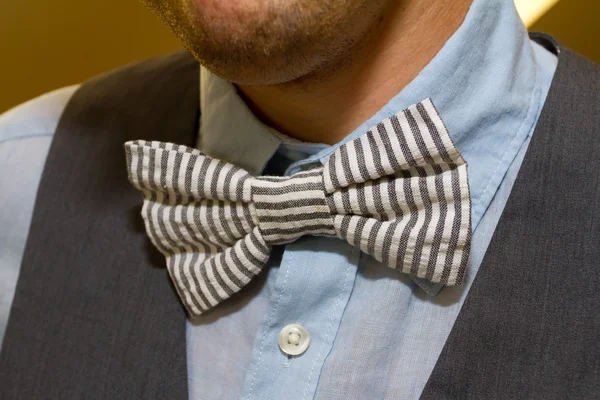 Groom Bowtie Fashion — Stock Photo, Image