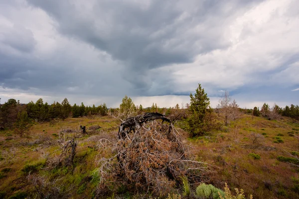 Tempestade de chuva e deserto no Oregon Central — Fotografia de Stock