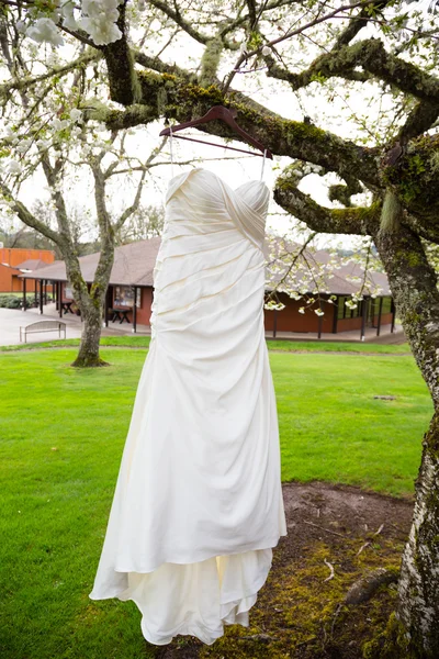 Brautkleid hängt im Baum — Stockfoto