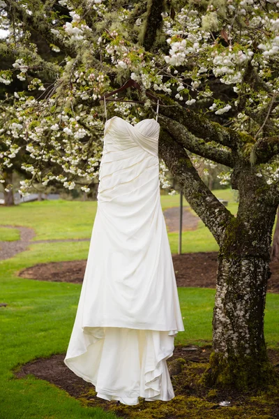 木にぶら下がっている花嫁のウェディング ドレス — ストック写真