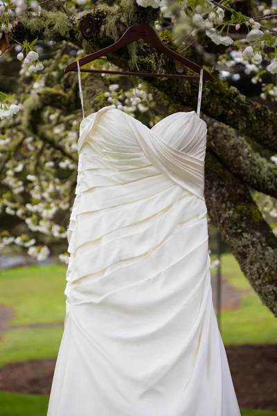 Brautkleid hängt im Baum — Stockfoto