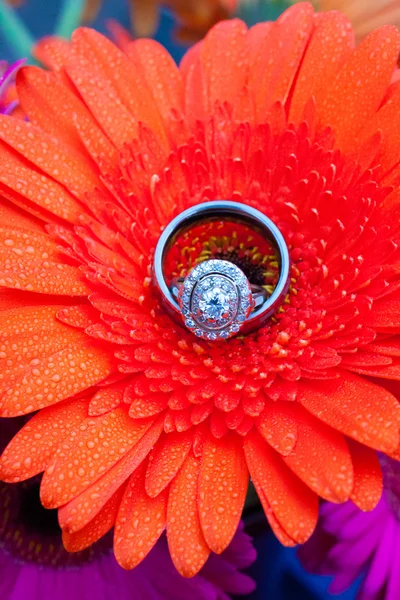 Flores y anillos de boda — Foto de Stock