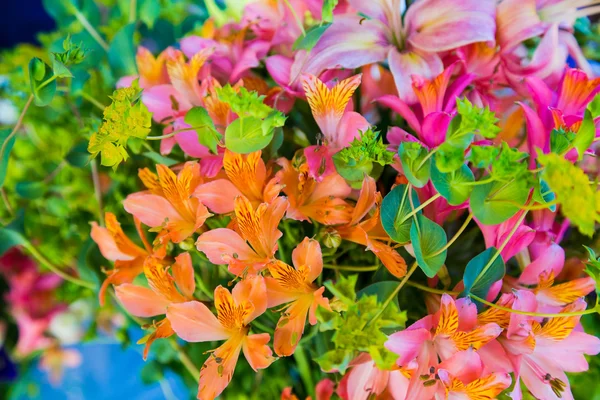 Flores de boda vibrantes — Foto de Stock