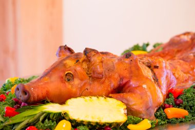 Düğünde barbequed bütün domuz