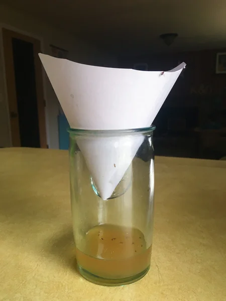 Apple Cider Vinegar Fruit Fly Trap — Stock Photo, Image