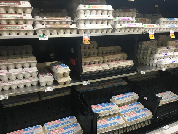 Selección de cartón de huevo en la tienda de comestibles —  Fotos de Stock