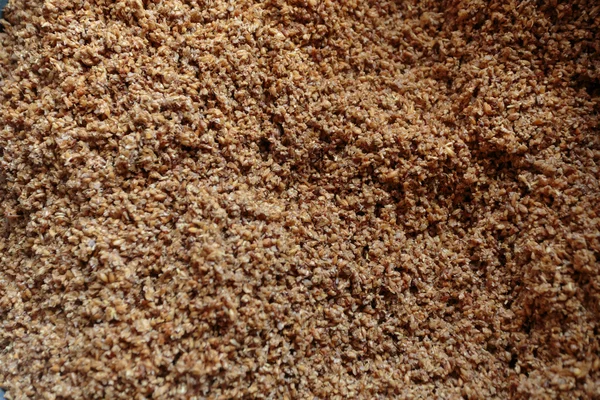 Grano de malta para la elaboración de cerveza en la fábrica de cerveza — Foto de Stock