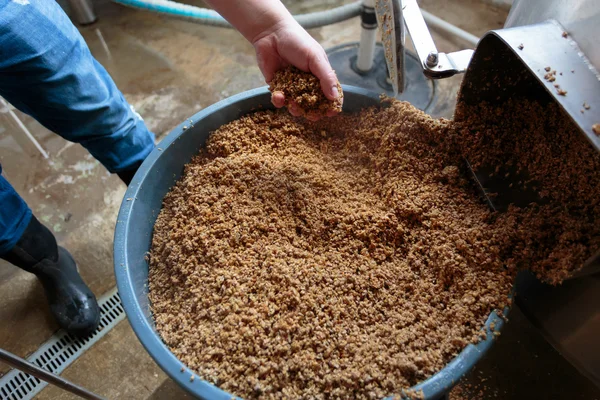 Fabricación de cerveza artesanal comercial en la cervecería —  Fotos de Stock