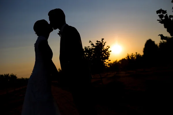 Noiva e noivo beijando ao pôr do sol — Fotografia de Stock