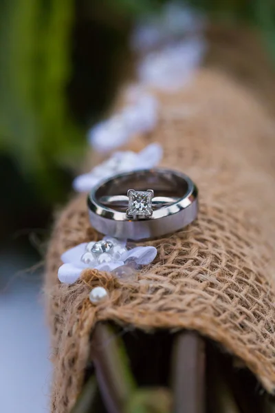 Novia y novio anillos de boda — Foto de Stock