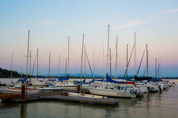 Fern Ridge Reservoir zeilboot — Stockfoto