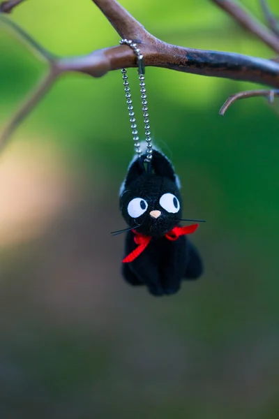 Tierschmuck bei der Hochzeit — Stockfoto