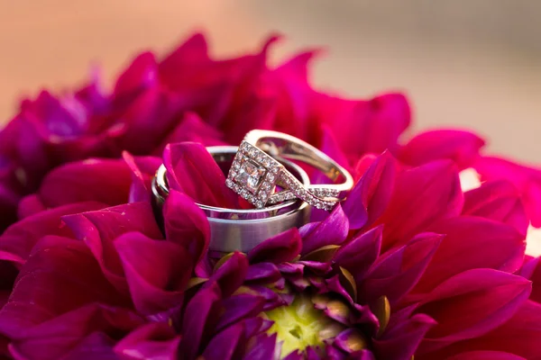 Bruden och brudgummen bröllop ringar på blommor — Stockfoto