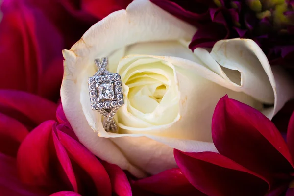 Νύφη γαμήλιο δαχτυλίδι σε λευκό λουλούδι — Φωτογραφία Αρχείου