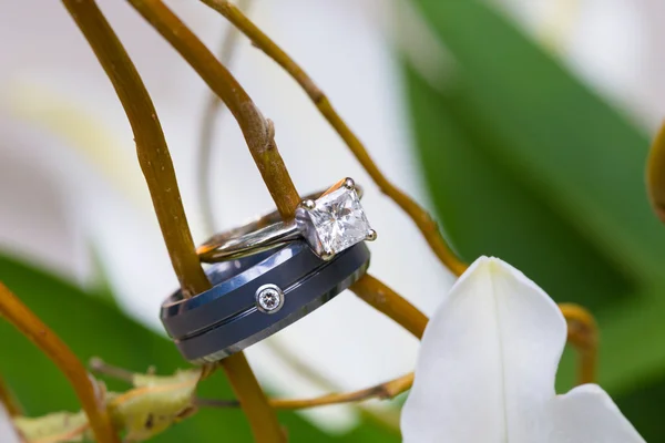 Novia y novio anillos de boda — Foto de Stock