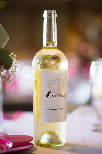 Sauvignon Blanc Vinho branco em garrafa — Fotografia de Stock