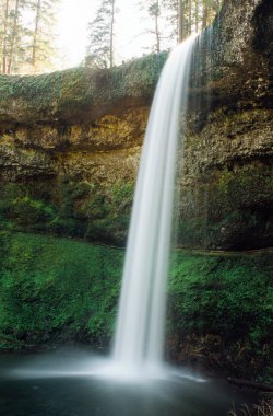 Şelale gümüş Oregon State Park düşüyor