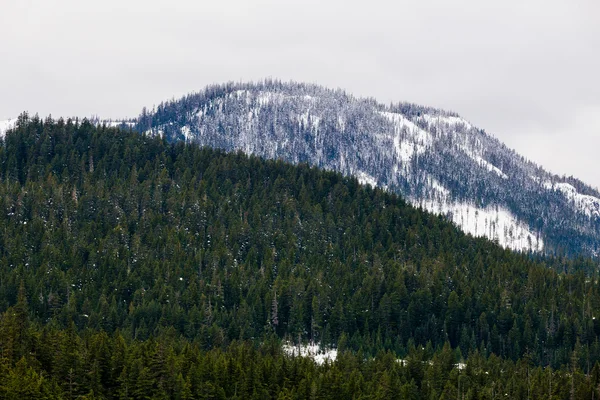 Oregon bergen in Winter sneeuw — Stockfoto