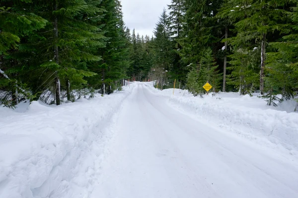 Salt Creek sneeuwschoentrails wandelweg — Stockfoto