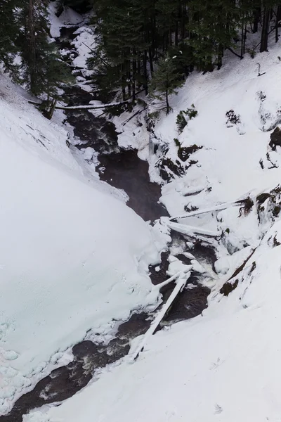 Salt Creek Perto da cachoeira em Oregon — Fotografia de Stock