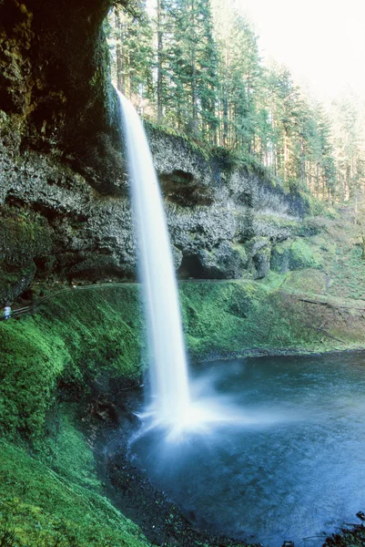 Wasserfall in silbernen Wasserfällen State Park von Oregon — Stockfoto