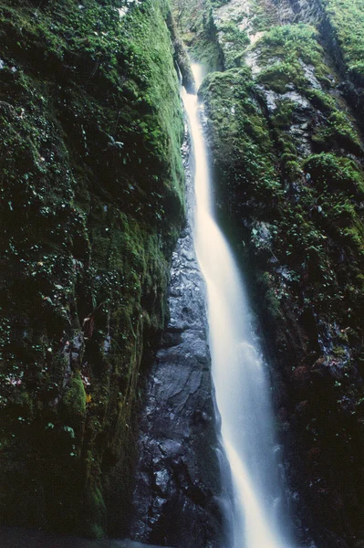 Cascade dans Silver Falls State Park de l'Oregon — Photo