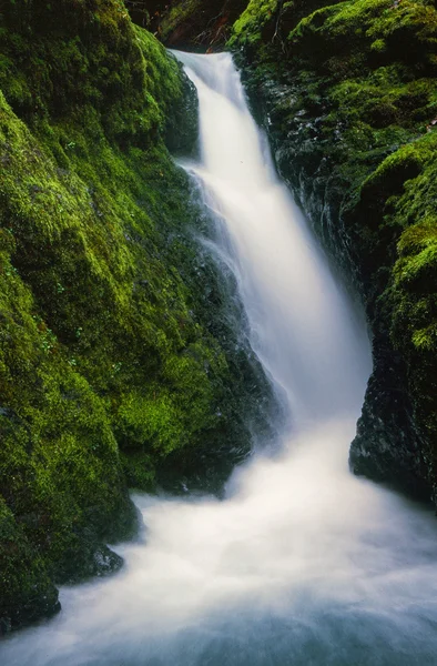 Oregon Waterfall in Pacific Northwest — Stock Photo, Image