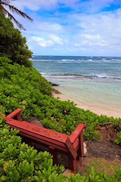 Czerwona ławka z widokiem na plażę wanną w Oahu na Hawajach — Zdjęcie stockowe