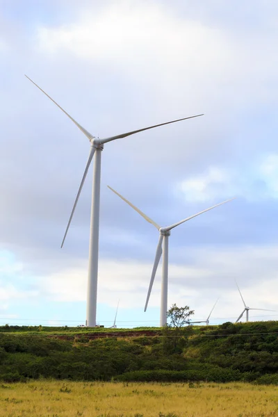 Windturbinenpark auf Hawaii — Stockfoto